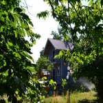 Kirayə (günlük) 3 otaqlı Bağ evi Zaqatala 8