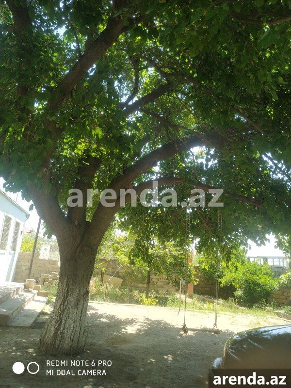Satılır 4 otaqlı Həyət evi/villa, Qurd dərəsi rayonu 1 Satılır 4 otaqlı Həyət evi/villa, Qurd dərəsi rayonu 1