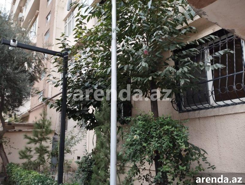 Kirayə (aylıq) 4 otaqlı Köhnə Tikili, İnşaatçılar metrosu, Yeni Yasamal qəs., Yasamal rayonu 2 Kirayə (aylıq) 4 otaqlı Köhnə Tikili, İnşaatçılar metrosu, Yeni Yasamal qəs., Yasamal rayonu 2
