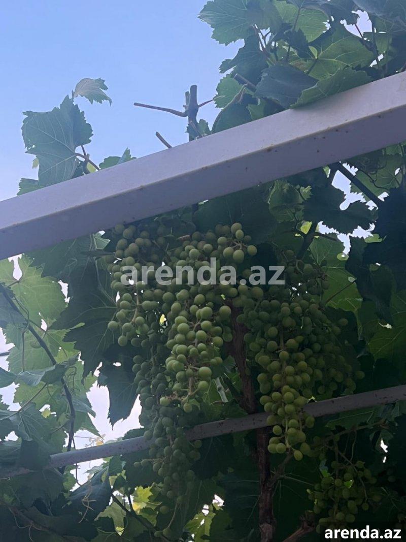 Продажа 5 комнатная Дома/Виллы, пос. Маштага, Сабунчу район 6 Продажа 5 комнатная Дома/Виллы, пос. Маштага, Сабунчу район 6