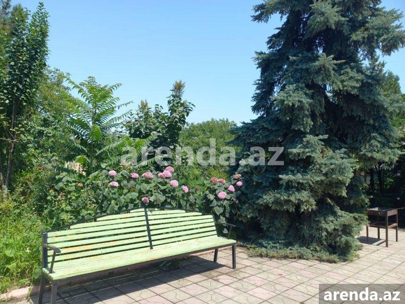 Kirayə (günlük) 4 otaqlı Həyət evi/villa Quba 23