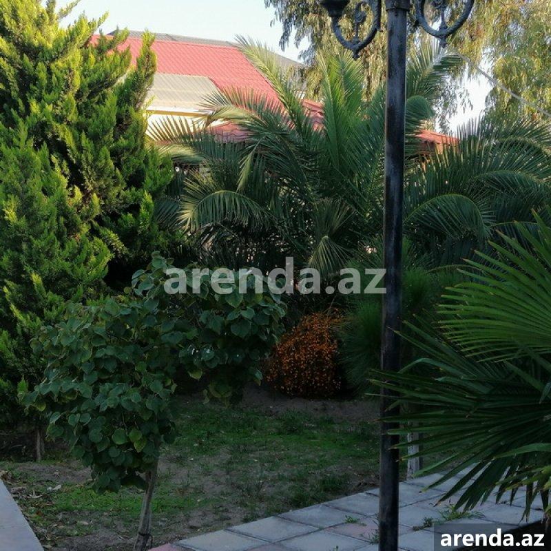 Kirayə (aylıq) 5 otaqlı Bağ evi, Mərdəkan, Xəzər rayonu 7