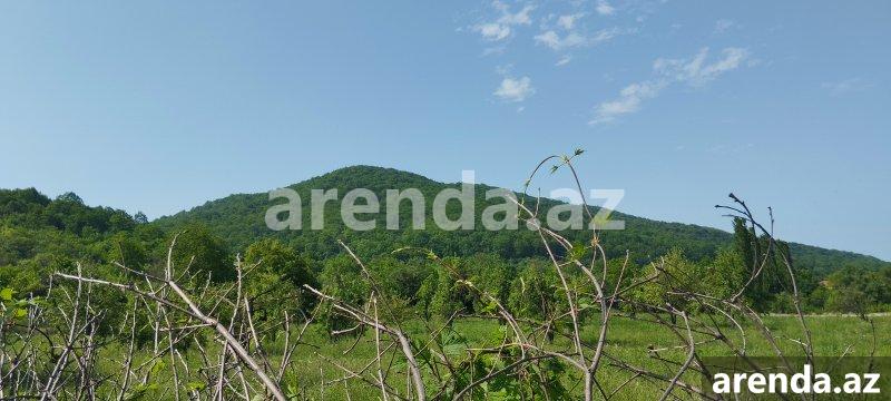 Satılır Torpaq Quba 3 Satılır Torpaq Quba 3