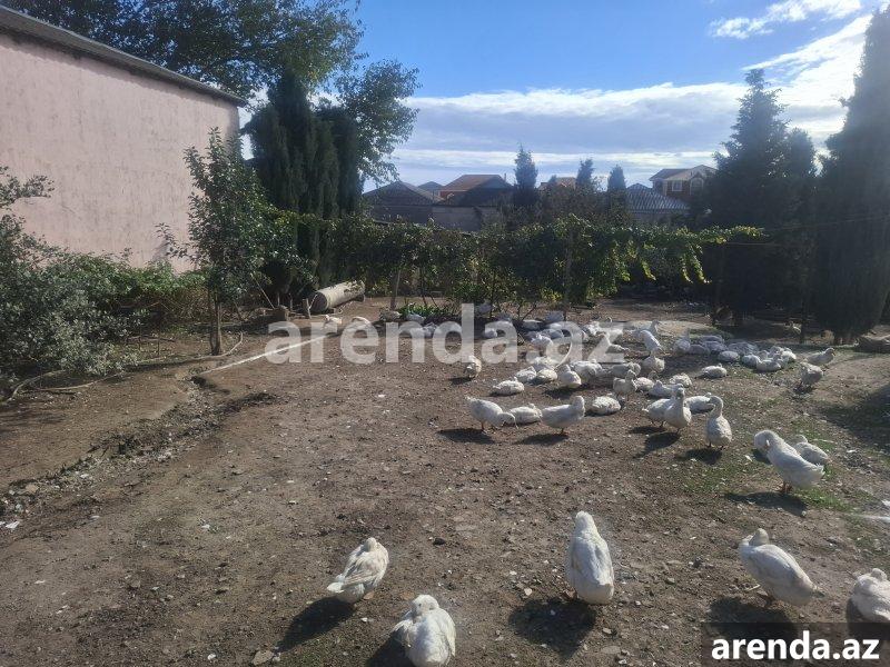 Satılır Torpaq, Mehdiabad, Abşeron rayonu 1 Satılır Torpaq, Mehdiabad, Abşeron rayonu 1