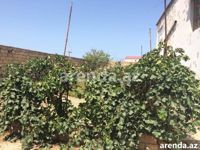 Satılır 5 otaqlı Bağ evi, Goradil, Abşeron rayonu 3