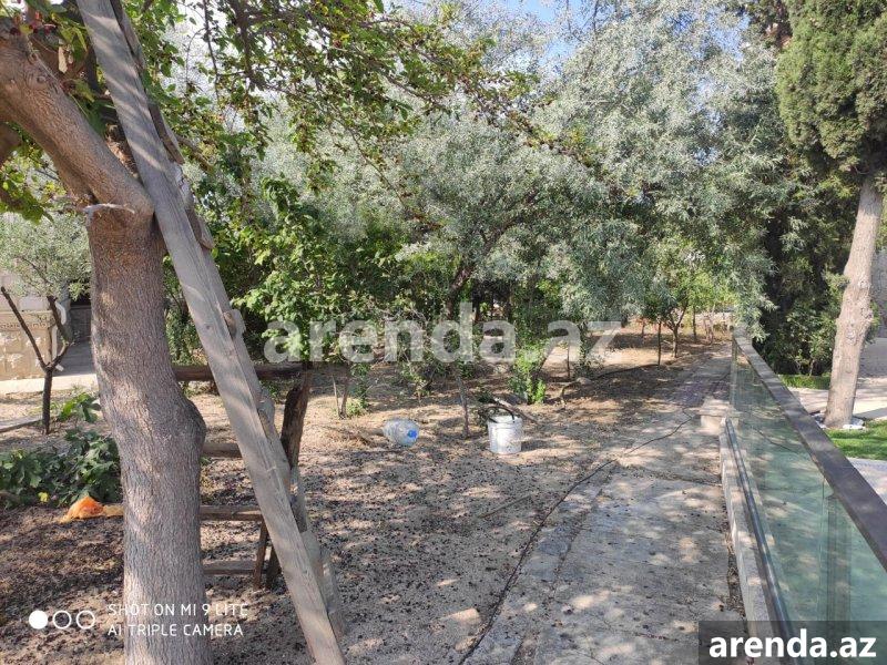 Kirayə (aylıq) 3 otaqlı Bağ evi, Nardaran qəs., Sabunçu rayonu 22 Kirayə (aylıq) 3 otaqlı Bağ evi, Nardaran qəs., Sabunçu rayonu 22