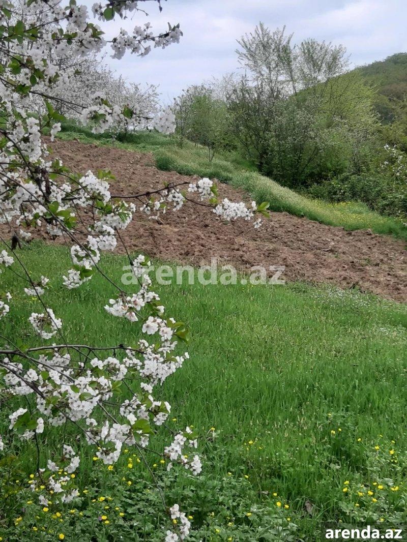 Satılır Torpaq Quba 5 Satılır Torpaq Quba 5