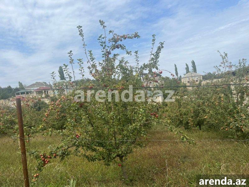 Satılır Torpaq Quba 1 Satılır Torpaq Quba 1