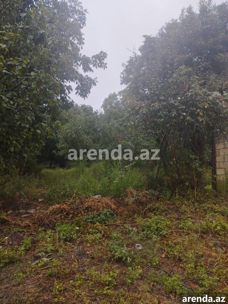 Satılır Torpaq Quba 4 Satılır Torpaq Quba 4