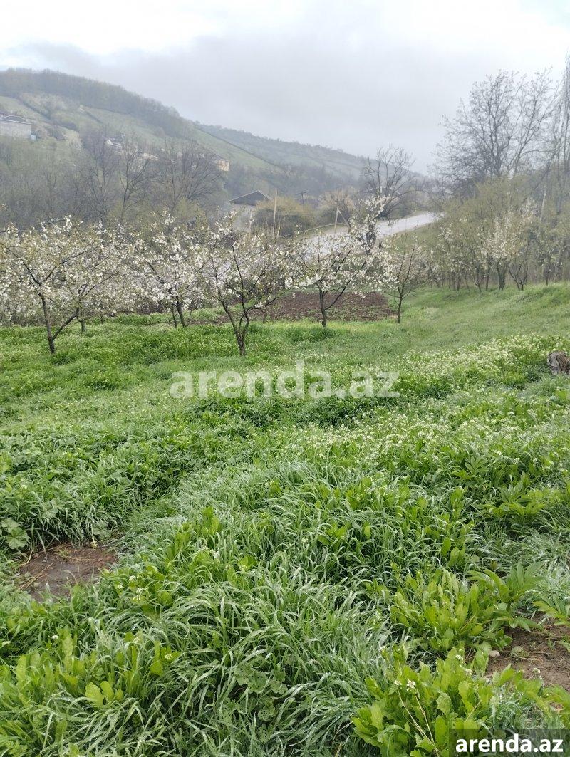 Satılır Torpaq Quba 10 Satılır Torpaq Quba 10