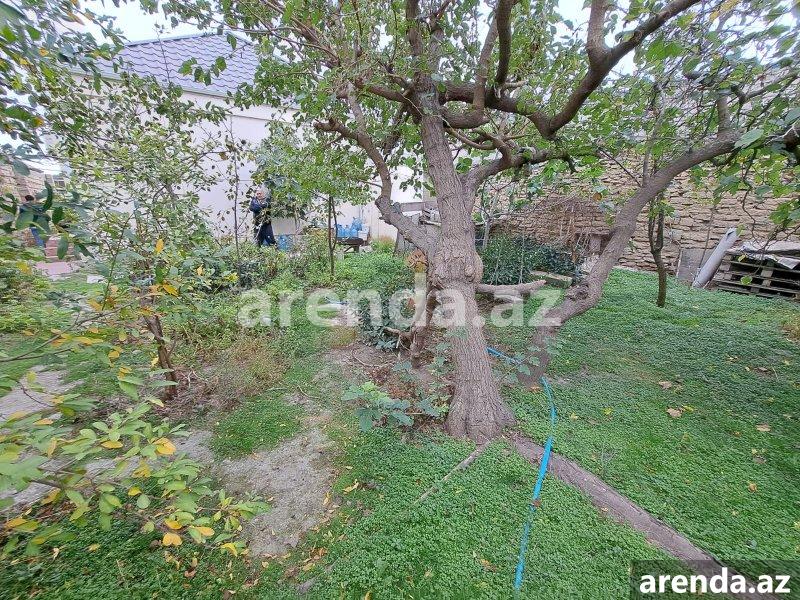 Satılır 3 otaqlı Həyət evi/villa, Bülbülə qəs., Suraxanı rayonu 6 Satılır 3 otaqlı Həyət evi/villa, Bülbülə qəs., Suraxanı rayonu 6