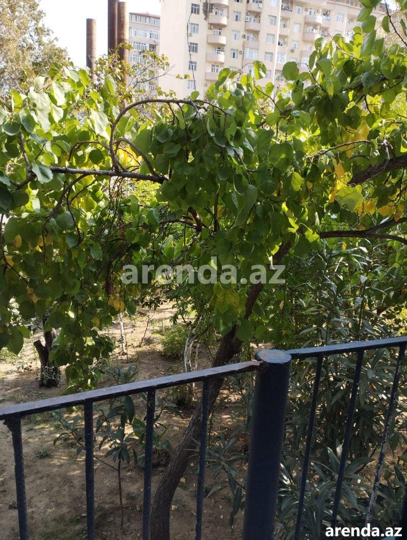 Kirayə (aylıq) 4 otaqlı Köhnə Tikili, İnşaatçılar metrosu, Yeni Yasamal qəs., Yasamal rayonu 25 Kirayə (aylıq) 4 otaqlı Köhnə Tikili, İnşaatçılar metrosu, Yeni Yasamal qəs., Yasamal rayonu 25