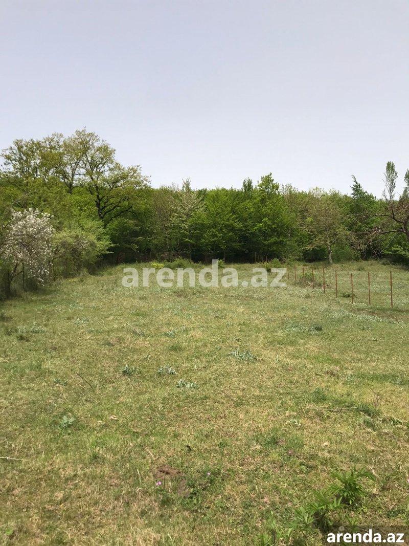 Satılır Torpaq Quba 2 Satılır Torpaq Quba 2