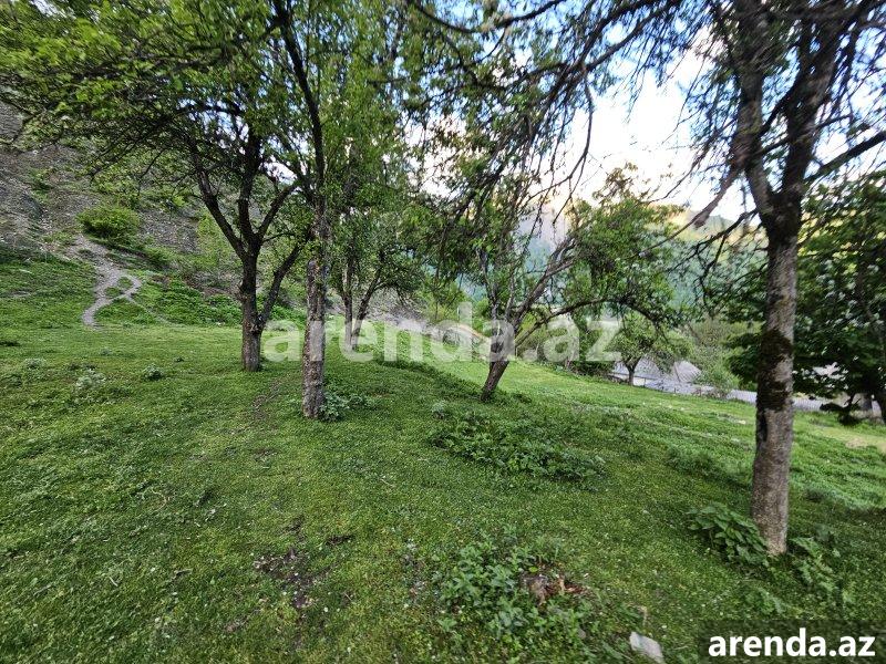 Satılır Torpaq Qəbələ 9 Satılır Torpaq Qəbələ 9