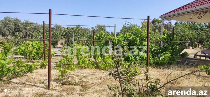 Kirayə (aylıq) 3 otaqlı Bağ evi, Nardaran qəs., Sabunçu rayonu 13 Kirayə (aylıq) 3 otaqlı Bağ evi, Nardaran qəs., Sabunçu rayonu 13