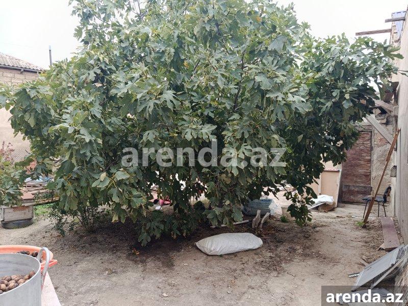 Продажа 4 комнатная Дома/Виллы, м. Хетаи метро, НЗС, , Хетаи район 3 Продажа 4 комнатная Дома/Виллы, м. Хетаи метро, НЗС, , Хетаи район 3