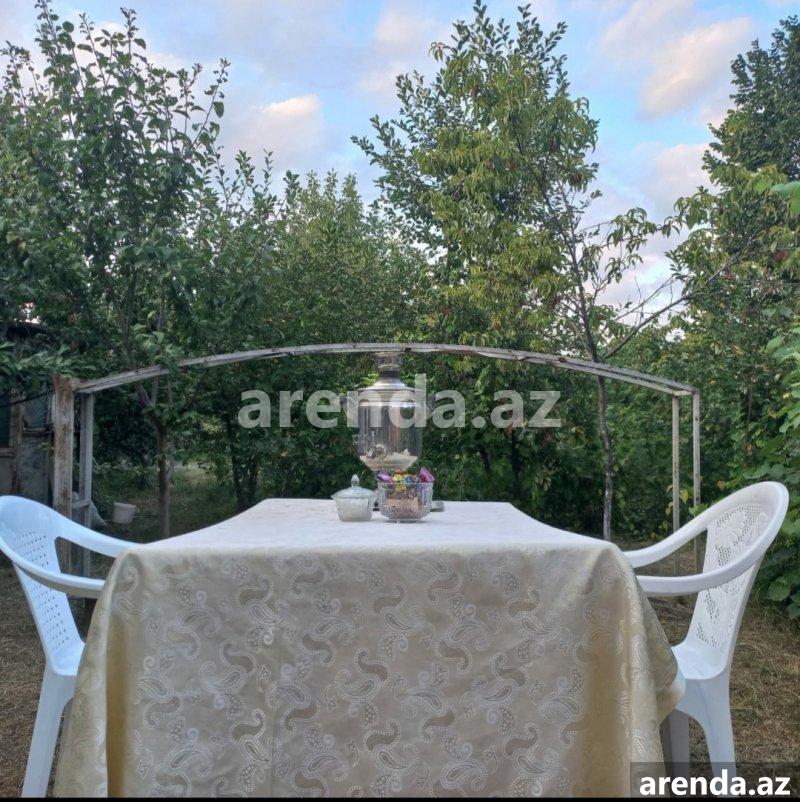 Kirayə (günlük) 2 otaqlı Həyət evi/villa İsmayıllı 9