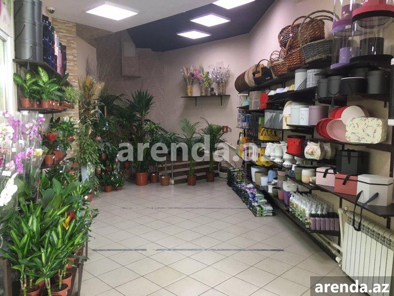 Продажа Объект, м. 28 Мая метро, Посольство США, Насими район 2 Продажа Объект, м. 28 Мая метро, Посольство США, Насими район 2