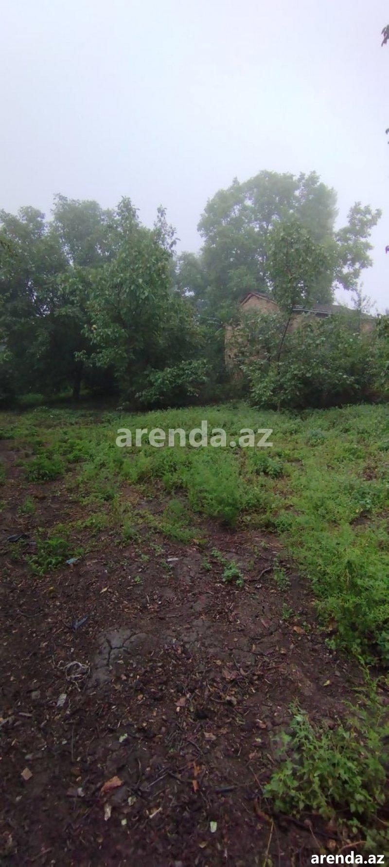 Satılır Torpaq Quba 8 Satılır Torpaq Quba 8