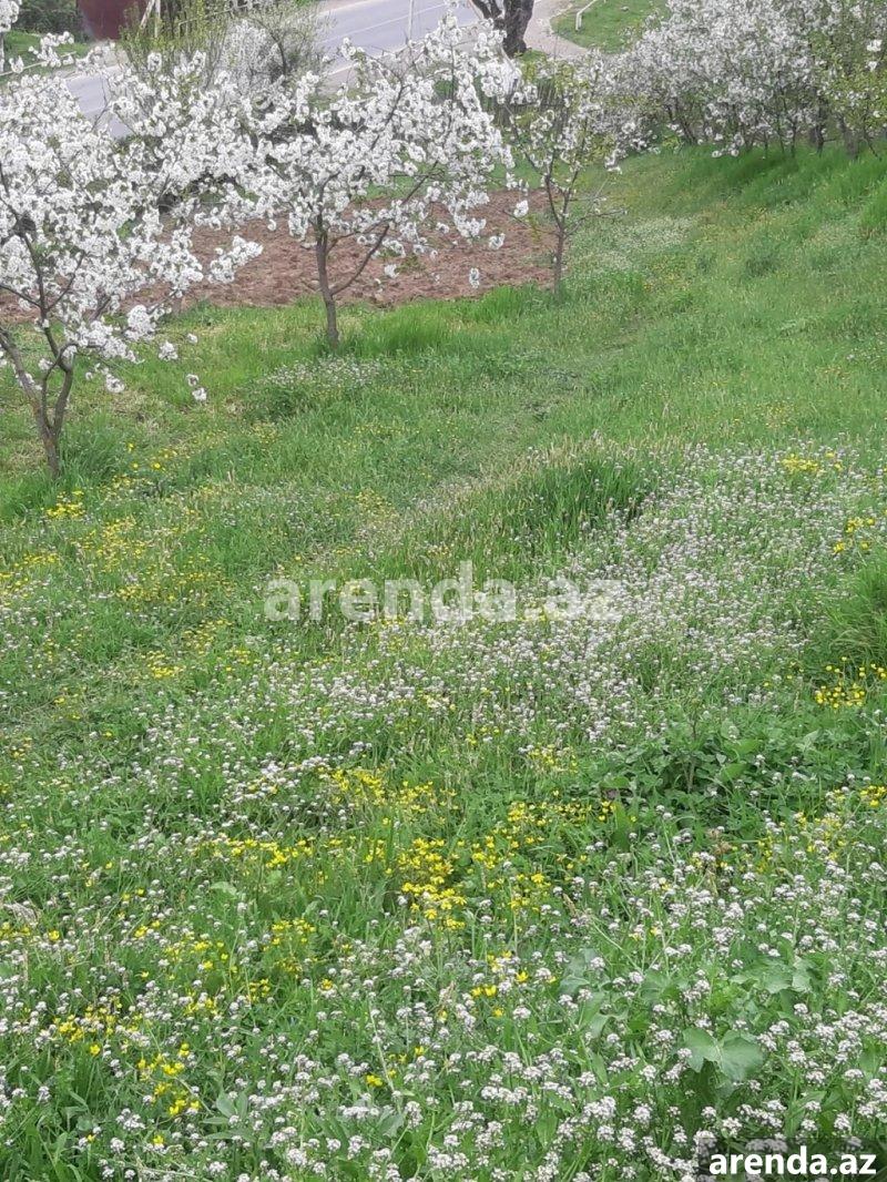 Satılır Torpaq Quba 8 Satılır Torpaq Quba 8