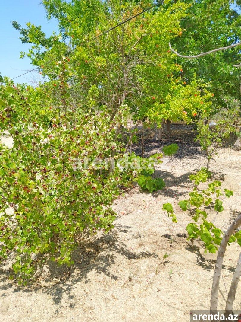 Satılır 5 otaqlı Bağ evi, Novxanı, Abşeron rayonu 8