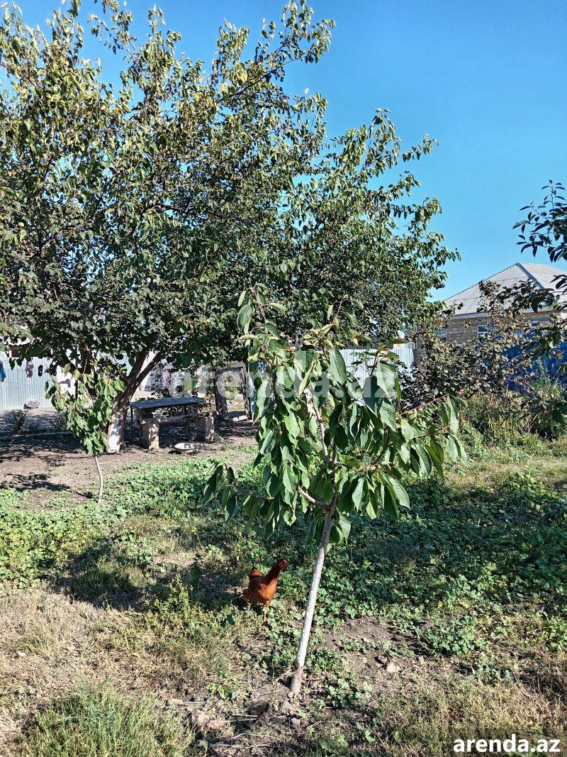 Satılır 2 otaqlı Həyət evi/villa Quba 6 Satılır 2 otaqlı Həyət evi/villa Quba 6