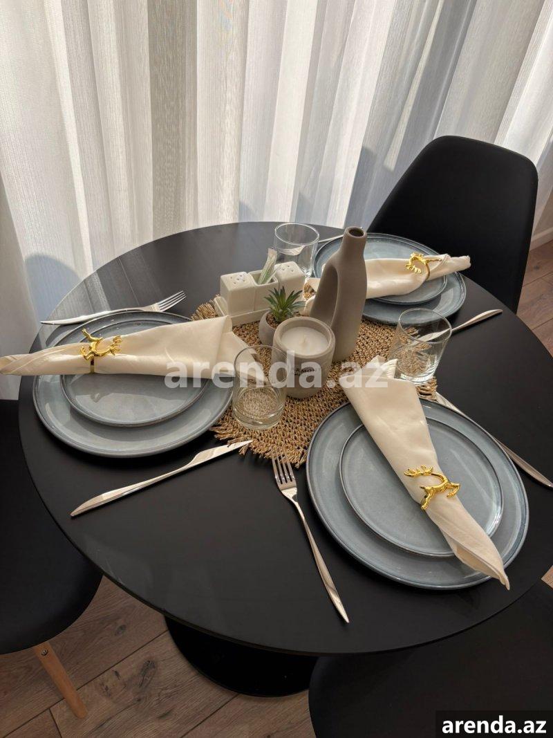 Kirayə (aylıq) 2 otaqlı Yeni Tikili, Koala parkı, Nəsimi rayonu 5 Kirayə (aylıq) 2 otaqlı Yeni Tikili, Koala parkı, Nəsimi rayonu 5