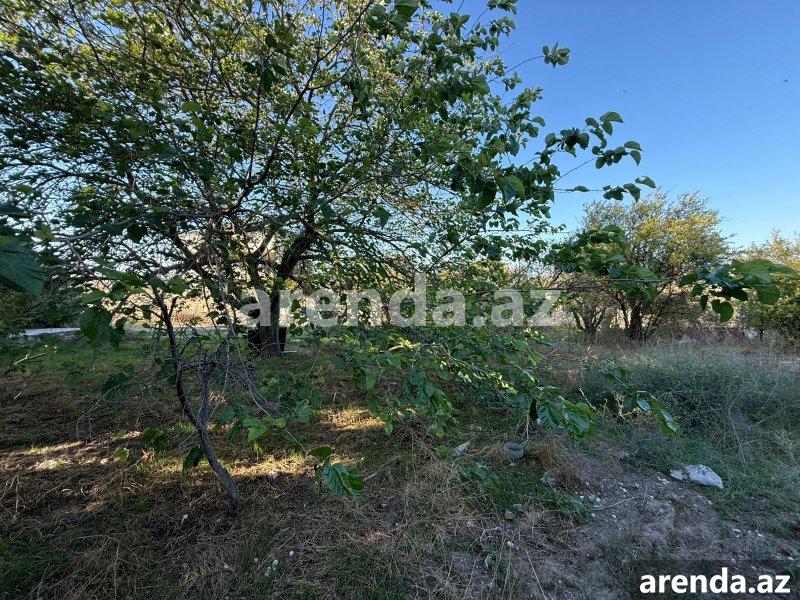 Satılır 9 otaqlı Həyət evi/villa, Novxanı, Abşeron rayonu 43 Satılır 9 otaqlı Həyət evi/villa, Novxanı, Abşeron rayonu 43