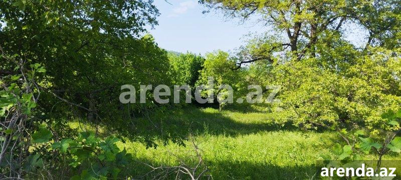 Satılır Torpaq Quba 11 Satılır Torpaq Quba 11