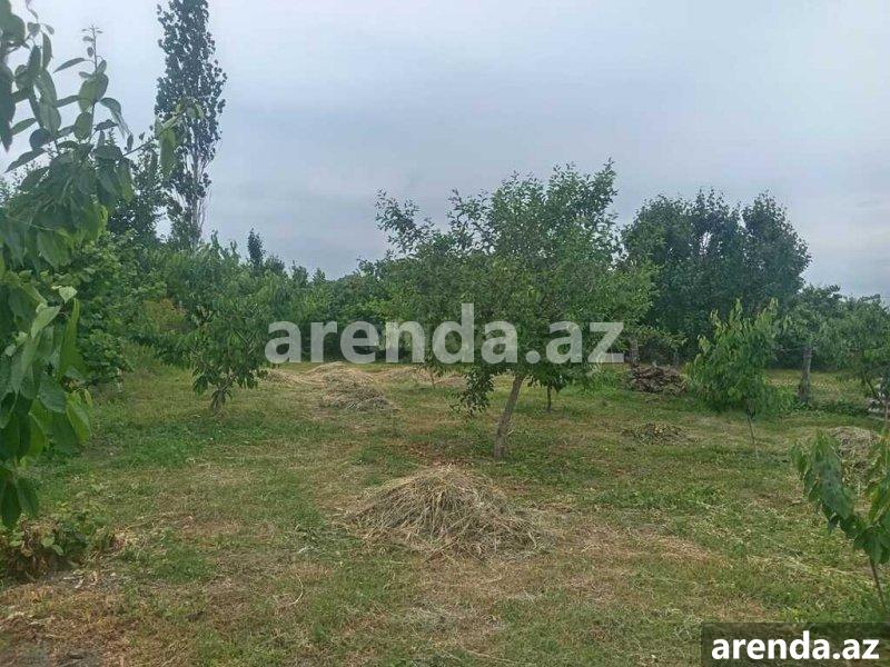 Satılır 2 otaqlı Həyət evi/villa Quba 3 Satılır 2 otaqlı Həyət evi/villa Quba 3
