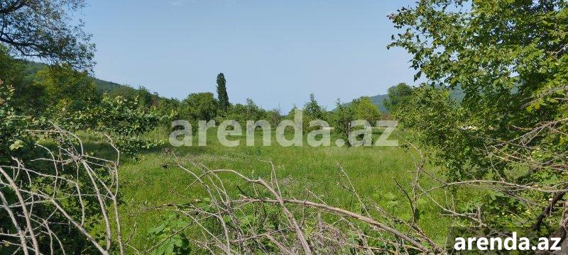 Satılır Torpaq Quba 7 Satılır Torpaq Quba 7