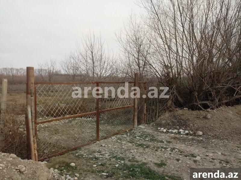 Satılır Torpaq Şabran $num