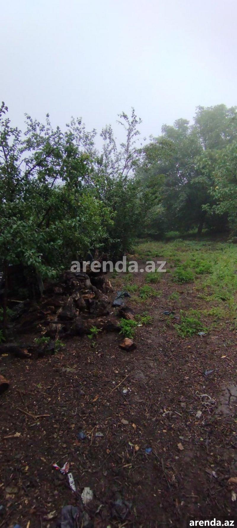 Satılır Torpaq Quba 7 Satılır Torpaq Quba 7