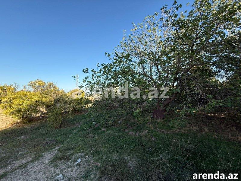 Satılır 9 otaqlı Həyət evi/villa, Novxanı, Abşeron rayonu 37 Satılır 9 otaqlı Həyət evi/villa, Novxanı, Abşeron rayonu 37