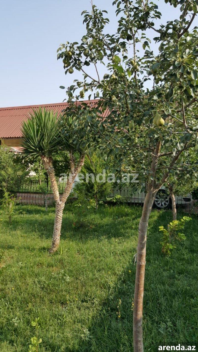 Kirayə (aylıq) 5 otaqlı Bağ evi, Türkan, Xəzər rayonu 4 Kirayə (aylıq) 5 otaqlı Bağ evi, Türkan, Xəzər rayonu 4