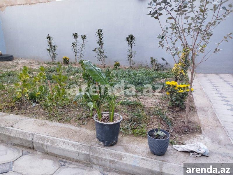 Satılır 3 otaqlı Həyət evi/villa, Binə qəs., Xəzər rayonu 3 Satılır 3 otaqlı Həyət evi/villa, Binə qəs., Xəzər rayonu 3
