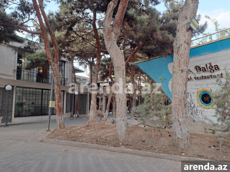 Kirayə (aylıq) Obyekt Xırdalan 16 Kirayə (aylıq) Obyekt Xırdalan 16