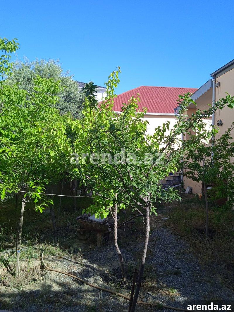 Kirayə (aylıq) 4 otaqlı Bağ evi, Xəzər rayonu 1 Kirayə (aylıq) 4 otaqlı Bağ evi, Xəzər rayonu 1