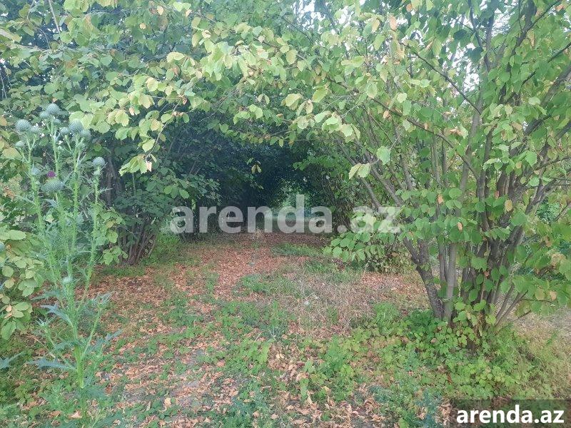 Satılır Torpaq İsmayıllı 1