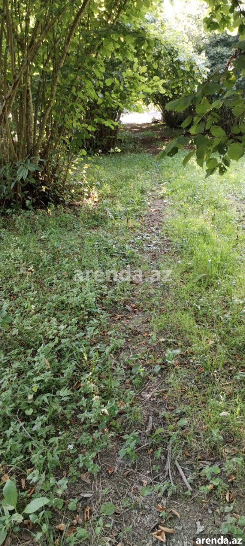 Satılır Torpaq Zaqatala 1 Satılır Torpaq Zaqatala 1