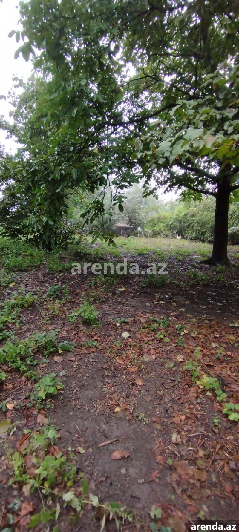 Satılır Torpaq Quba 10 Satılır Torpaq Quba 10