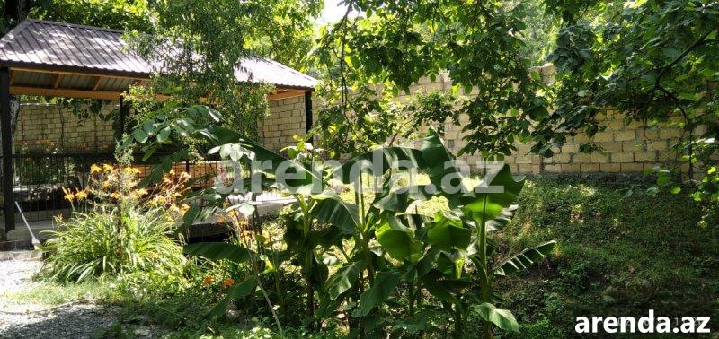 Kirayə (günlük) 3 otaqlı Həyət evi/villa İsmayıllı 11