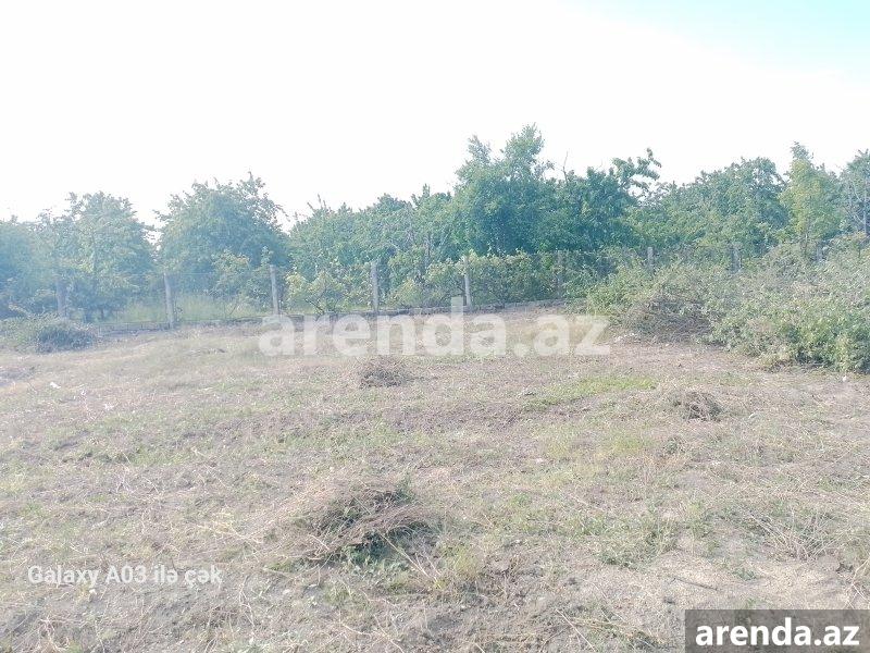 Продажа Участок Губа 7 Продажа Участок Губа 7