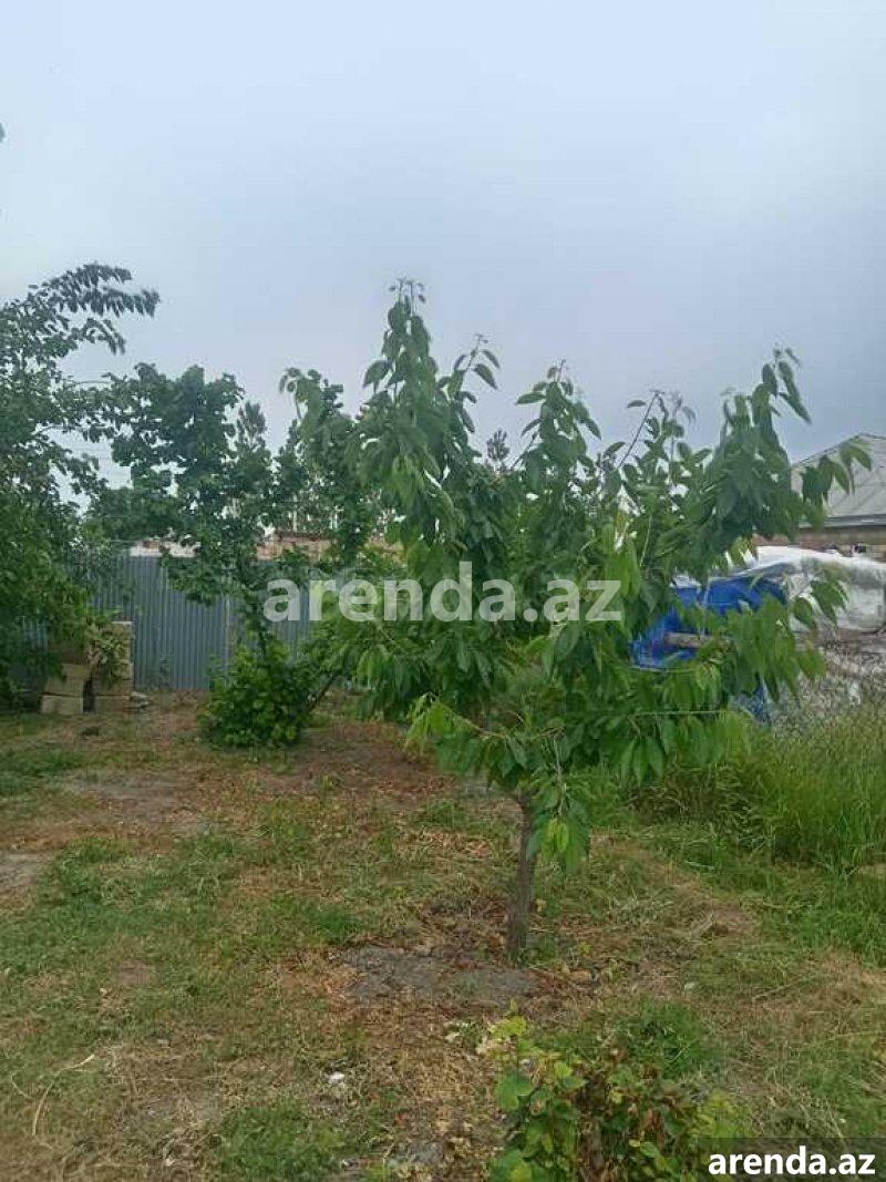 Satılır 2 otaqlı Həyət evi/villa Quba 2 Satılır 2 otaqlı Həyət evi/villa Quba 2