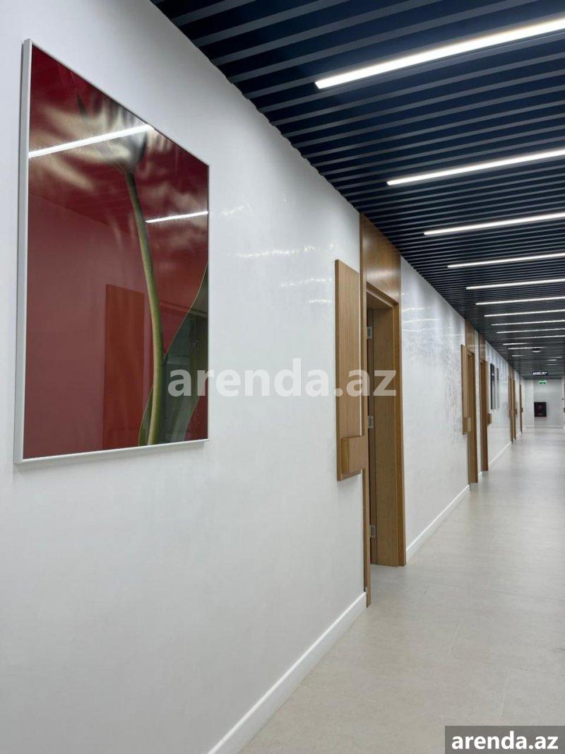 Kirayə (aylıq) 1 otaqlı Ofis, Nəriman Nərimanov metrosu, Nərimanov rayonu 15 Kirayə (aylıq) 1 otaqlı Ofis, Nəriman Nərimanov metrosu, Nərimanov rayonu 15