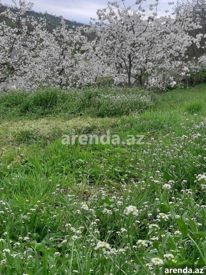 Satılır Torpaq Quba 1 Satılır Torpaq Quba 1
