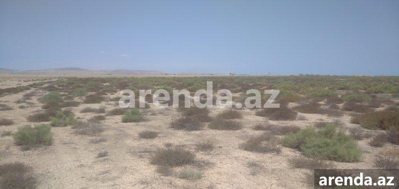 Satılır Torpaq, Ələt qəs., Sahil bağı, Qaradağ rayonu 4 Satılır Torpaq, Ələt qəs., Sahil bağı, Qaradağ rayonu 4