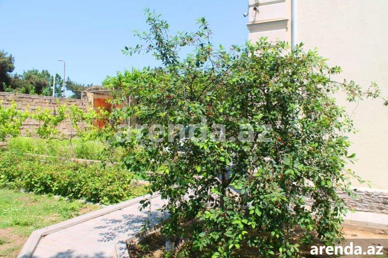 Satılır 6 otaqlı Həyət evi/villa, Buzovna, Xəzər rayonu 10