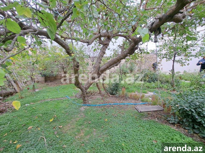 Satılır 3 otaqlı Həyət evi/villa, Bülbülə qəs., Suraxanı rayonu 7 Satılır 3 otaqlı Həyət evi/villa, Bülbülə qəs., Suraxanı rayonu 7