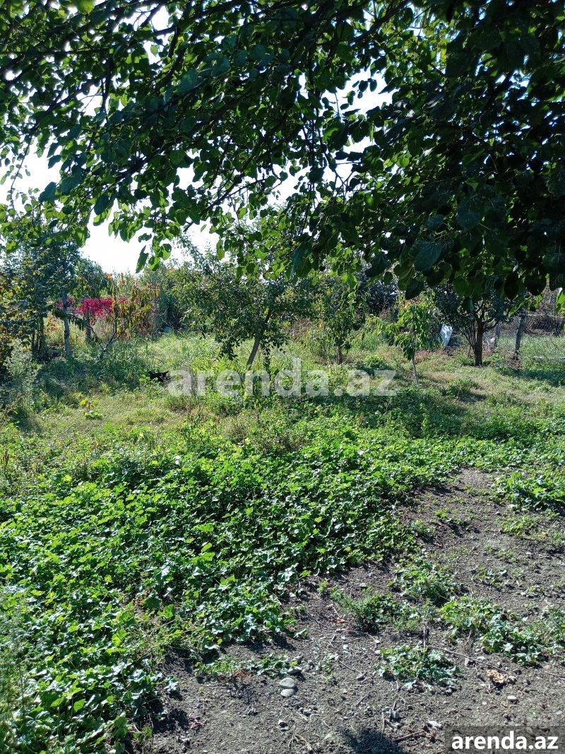 Satılır 2 otaqlı Həyət evi/villa Quba 10 Satılır 2 otaqlı Həyət evi/villa Quba 10